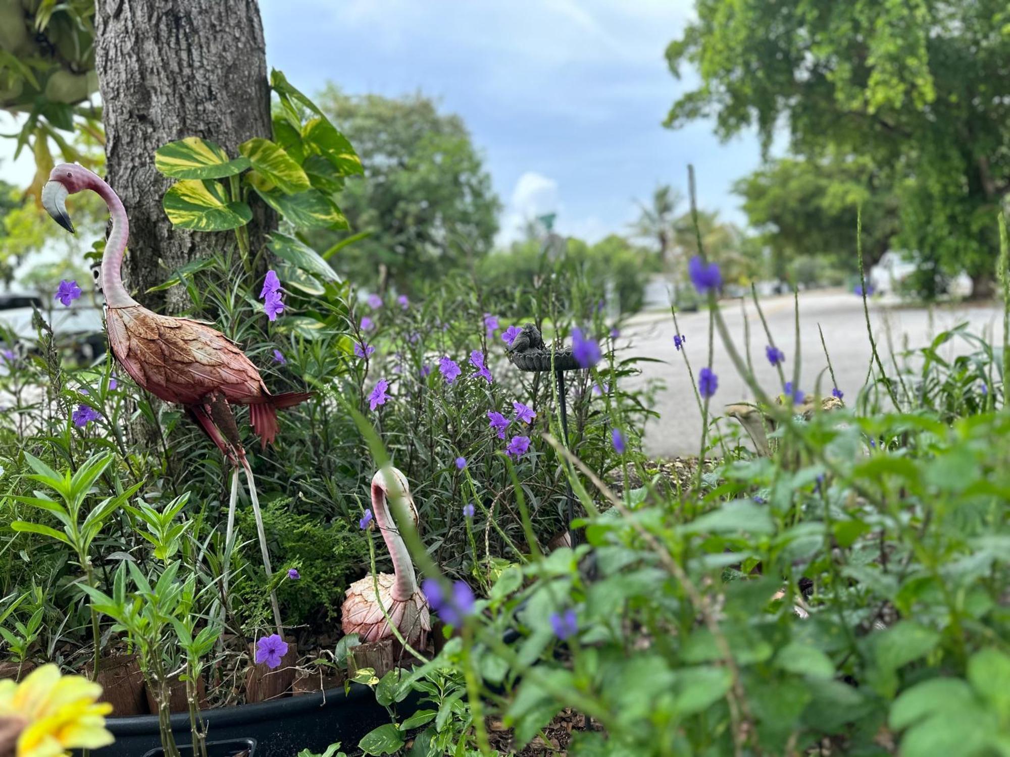 Flora'S Garden Apartment/Studio นอร์ทไมอามี ภายนอก รูปภาพ